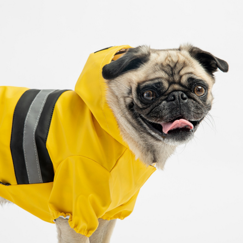 Dog Raincoat - Yellow