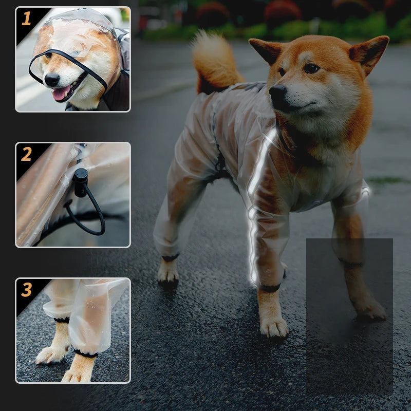 Raincoat, waterproof, transparent, with hood, for pets.