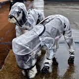 Raincoat, waterproof, transparent, with hood, for pets.