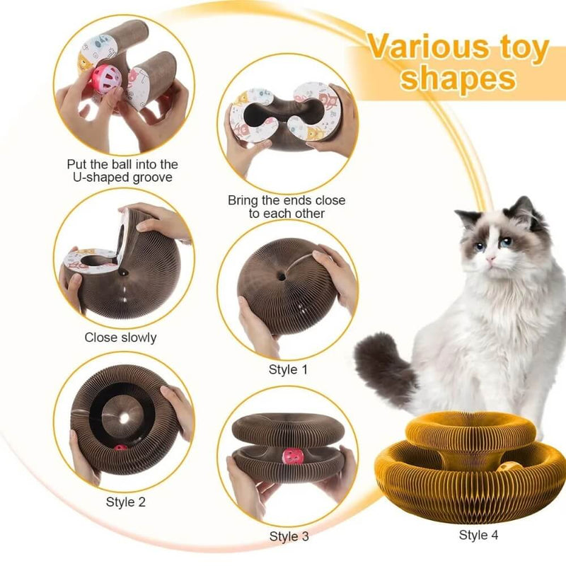 Magic Organ Cat Toy - Cat Ranger and Toy (7)