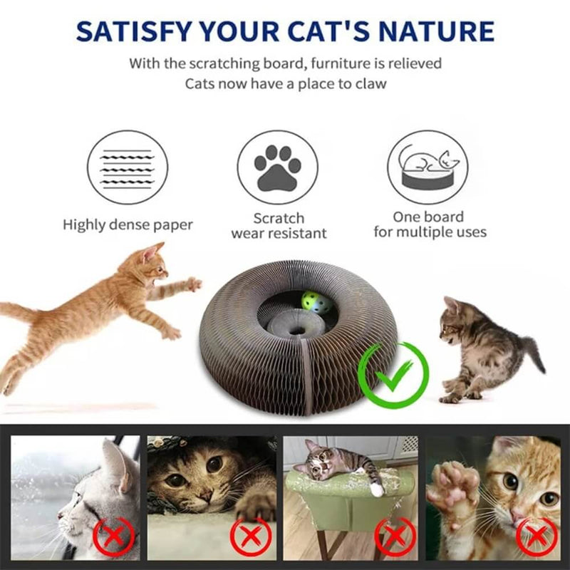 Magic Organ Cat Toy - Cat Ranger and Toy