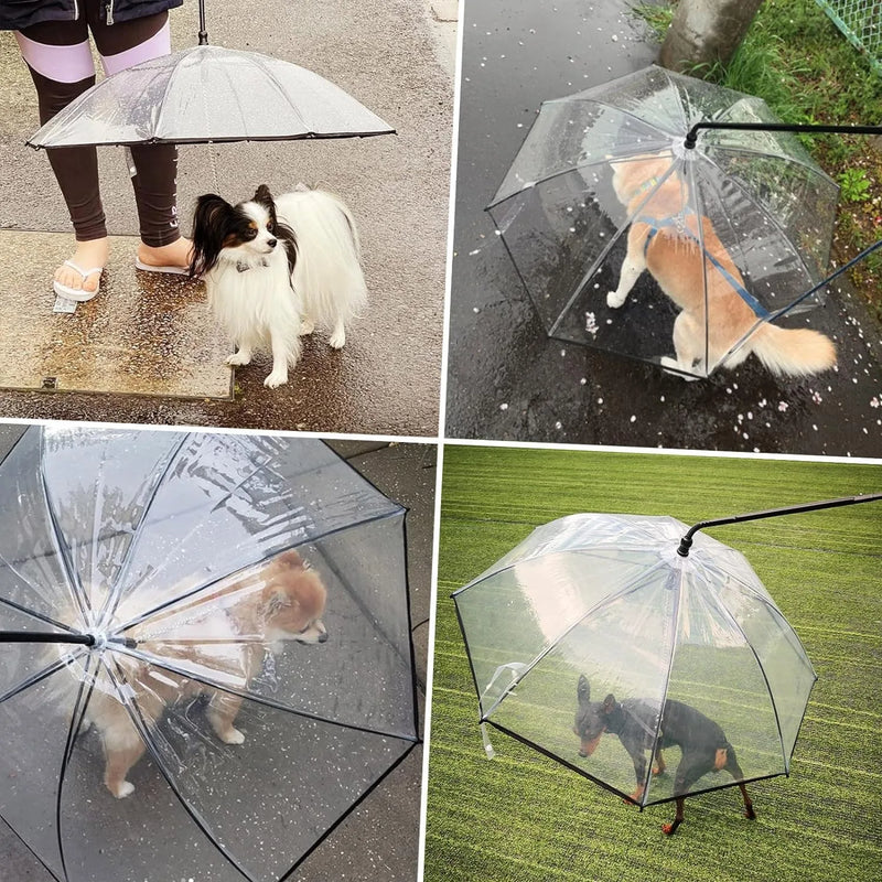 Adjustable Pet Umbrella with Leash