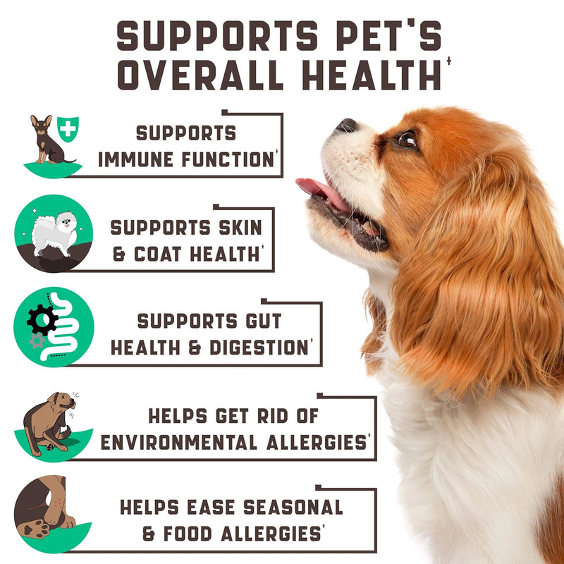 Natural Dog Allergy Chews with Omega Probiotics & Apple Cider Vinegar