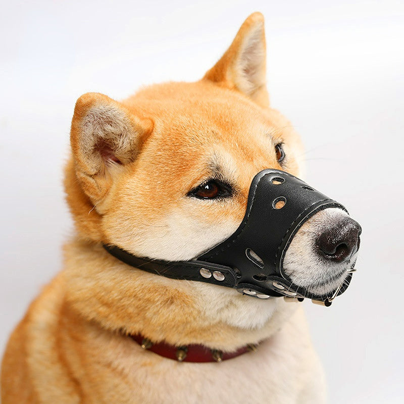Anti-barking, anti-bite mouth mask