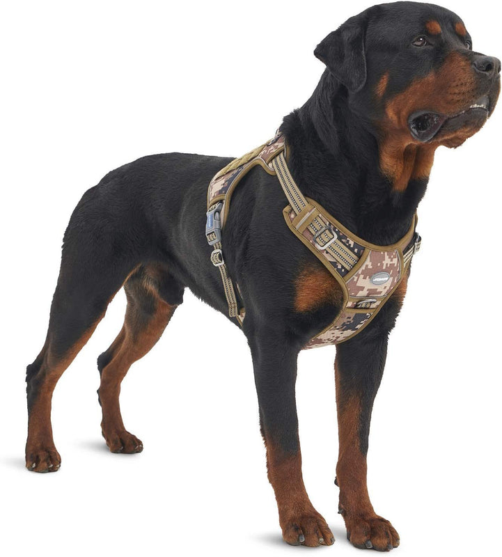 Pet vest, military service