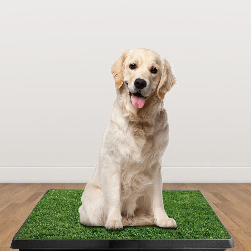 Pet training pad with artificial grass