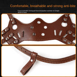 Anti-barking, anti-bite mouth mask