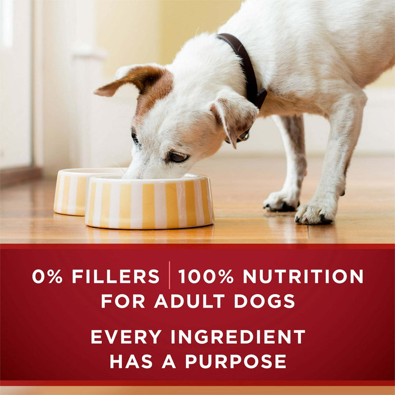 Purina ONE True Instinct High Protein Wet Dog Food