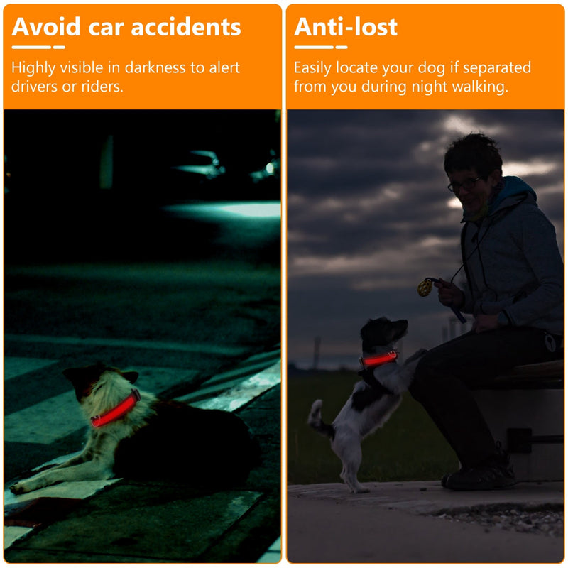LED dog safety collar, USB rechargeable