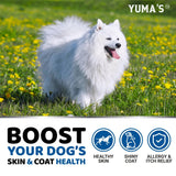 Omega 3 Fish Oil for Dogs Skin and Coat Supplement, Dry and Itchy Skin Relief Treatment Allergy Support