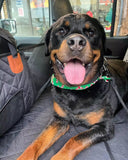 Firm Back Seat Extender for Dogs