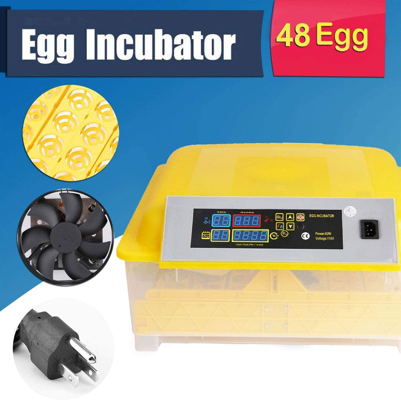 Egg Incubator, 48 Eggs Digital