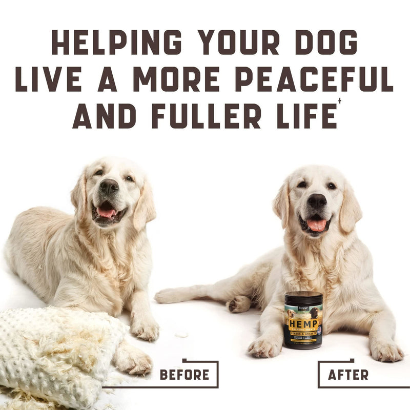 Natural tranquilizers for dogs with valerian root