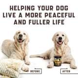 Natural tranquilizers for dogs with valerian root