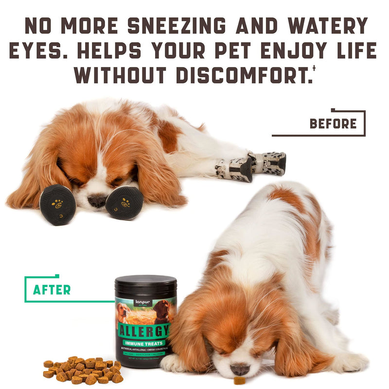 Natural Dog Allergy Chews with Omega Probiotics & Apple Cider Vinegar