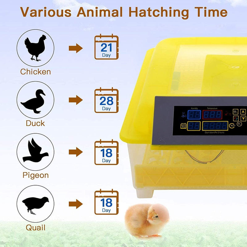 Egg Incubator, 48 Eggs Digital