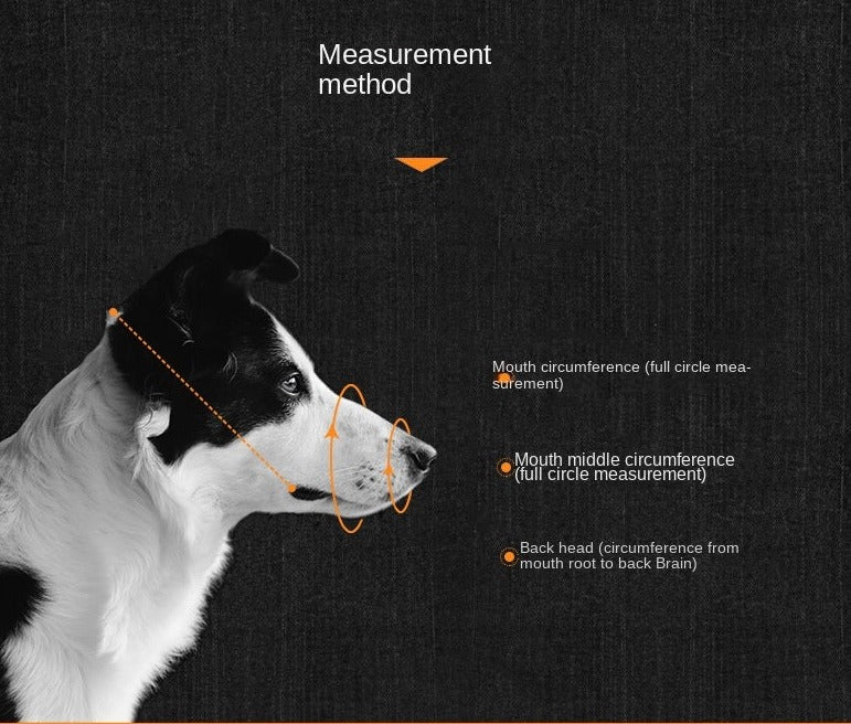 Anti-barking, anti-bite mouth mask