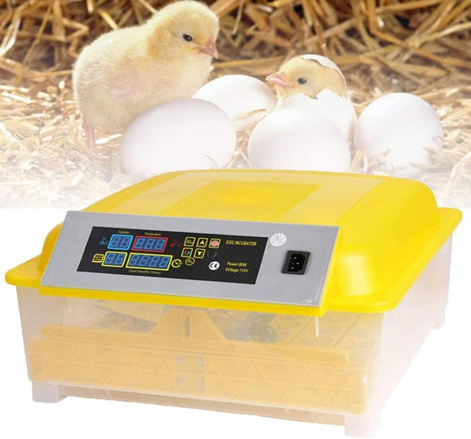 Egg Incubator, 48 Eggs Digital