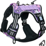 Pet vest, military service
