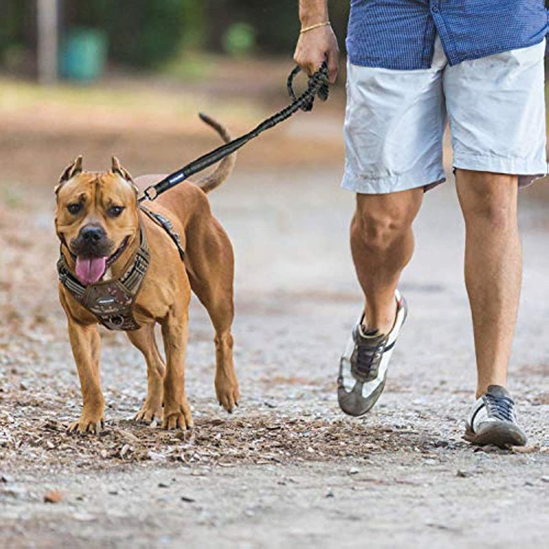Pet vest, military service