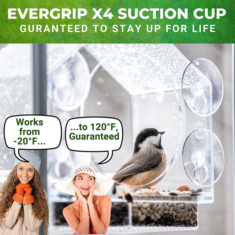 Bird feeder with clear plastic window and strong suction cups