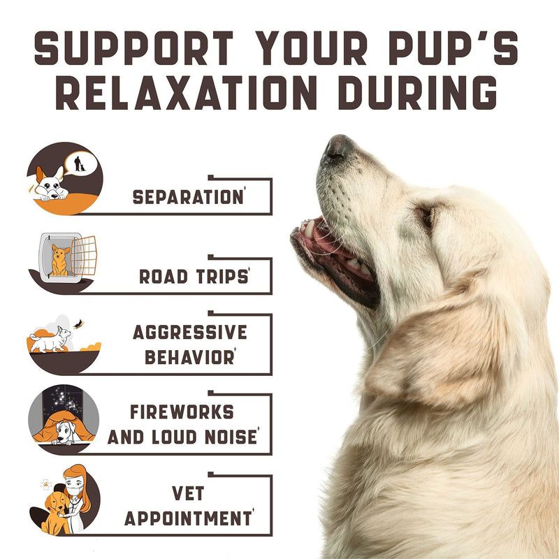 Natural tranquilizers for dogs with valerian root