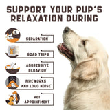 Natural tranquilizers for dogs with valerian root