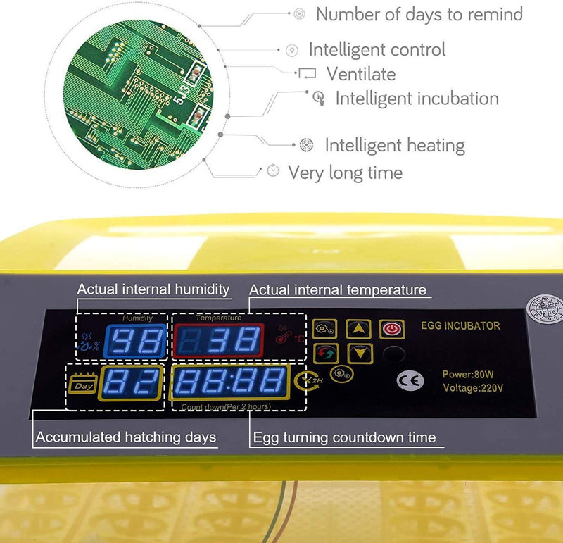 Egg Incubator, 48 Eggs Digital