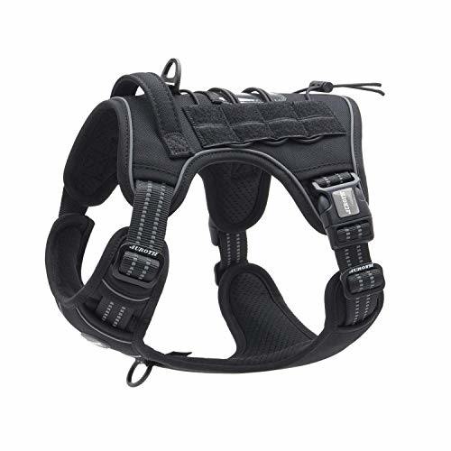 Pet vest, military service